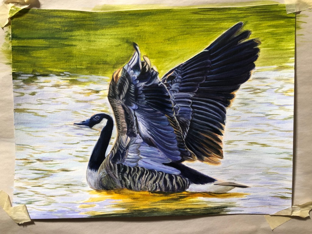 Acrylic painting of a Canada goose atop water with wings outstretched.